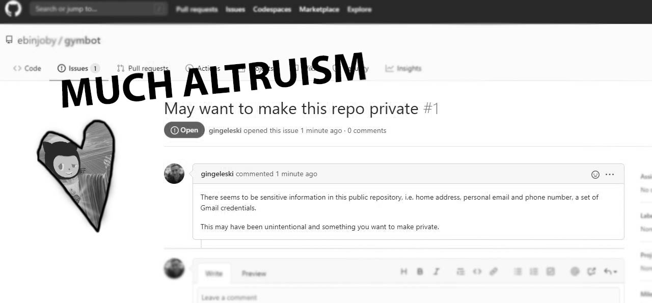 Screenshot of GitHub issue